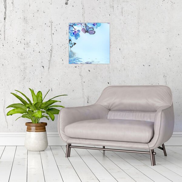 Obraz - Motýl na květech orchideje, modrý (30x30 cm)
