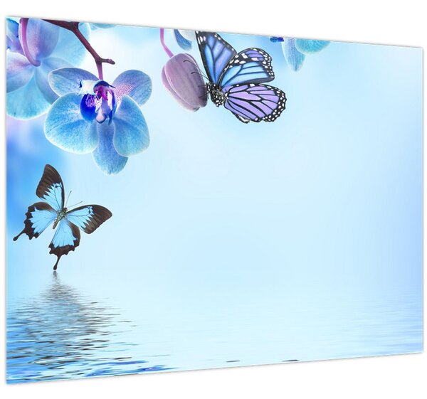Obraz - Motýl na květech orchideje, modrý (70x50 cm)
