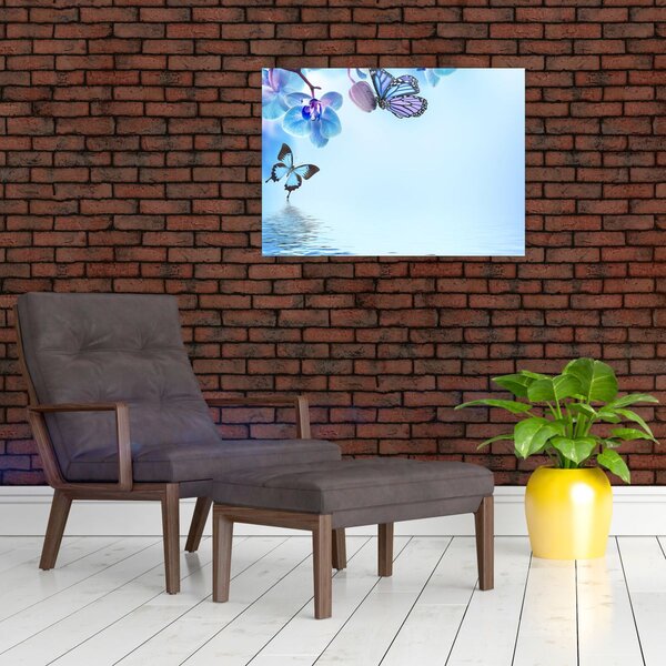 Obraz - Motýl na květech orchideje, modrý (70x50 cm)
