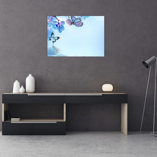 Obraz - Motýl na květech orchideje, modrý (70x50 cm)