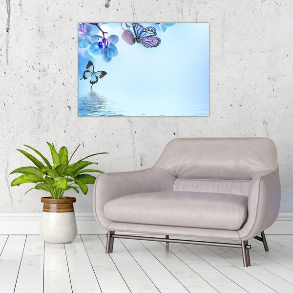 Obraz - Motýl na květech orchideje, modrý (70x50 cm)