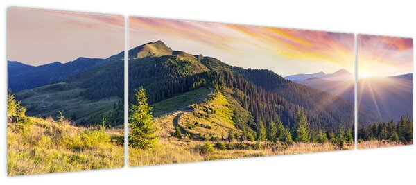 Obraz - Lesní krajina (170x50 cm)