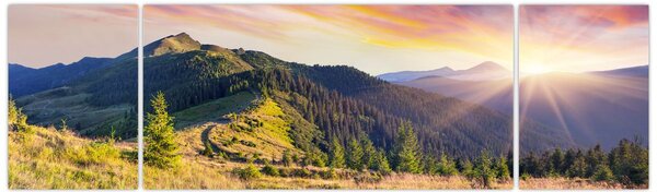 Obraz - Lesní krajina (170x50 cm)
