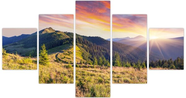 Obraz - Lesní krajina (125x70 cm)