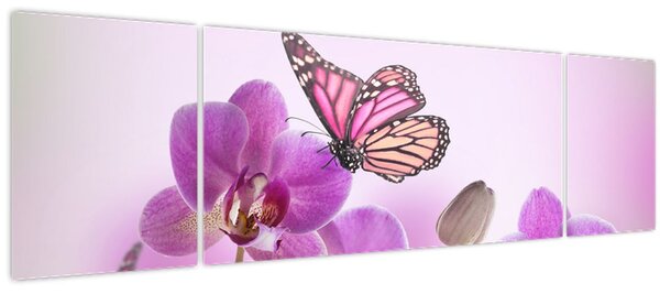 Obraz - Motýl na květech orchideje, lila (170x50 cm)
