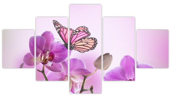 Obraz - Motýl na květech orchideje, lila (125x70 cm)