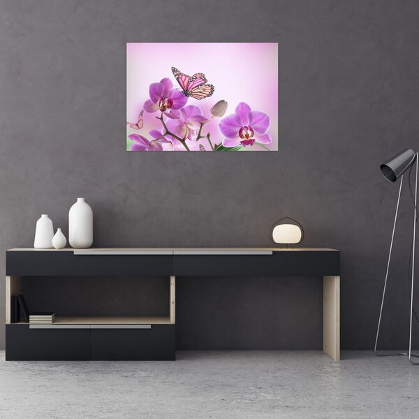 Obraz - Motýl na květech orchideje, lila (70x50 cm)