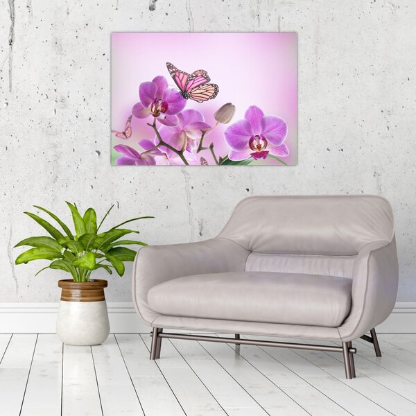Obraz - Motýl na květech orchideje, lila (70x50 cm)