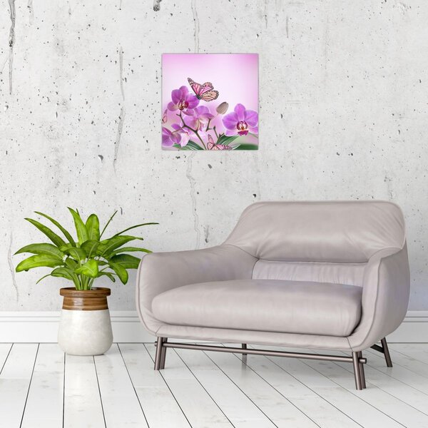 Obraz - Motýl na květech orchideje, lila (30x30 cm)