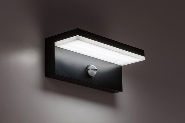 RABALUX 77115 Zaragoza venkovní nástěnné svítidlo se senzorem LED 9W/800lm 2700+4000+6500K IP54 černá