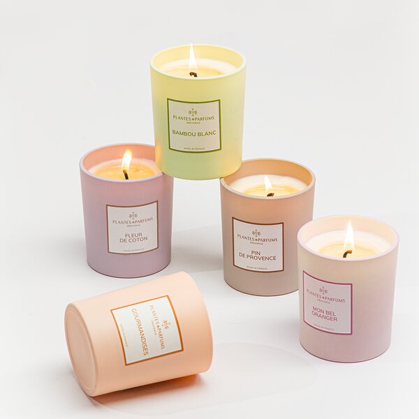 Plantes et Parfums de Provence Bambou Blanc