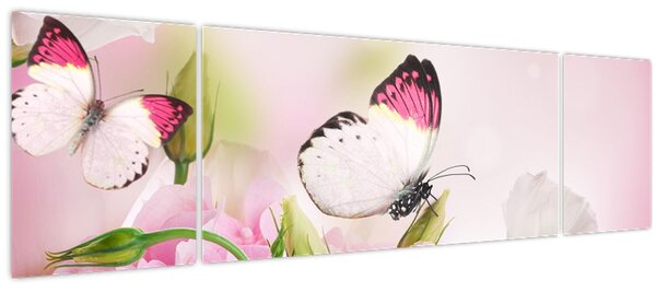 Obraz - Motýl (170x50 cm)