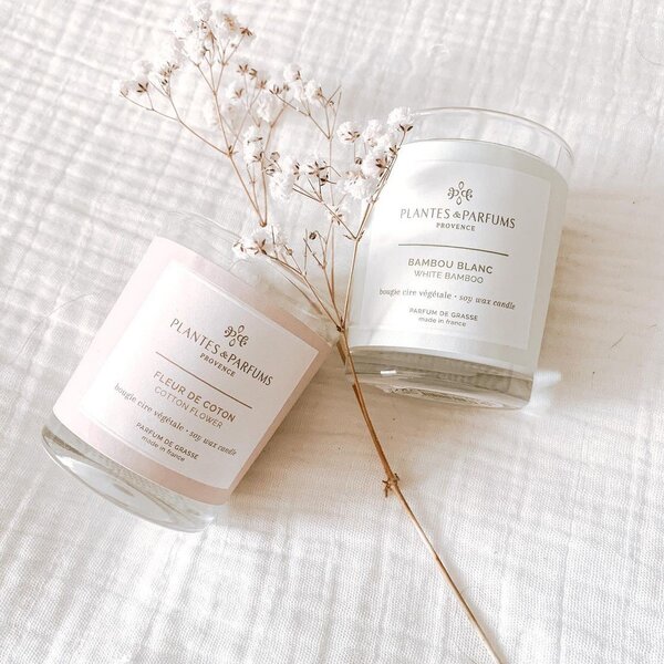 Plantes et Parfums de Provence Bambou Blanc