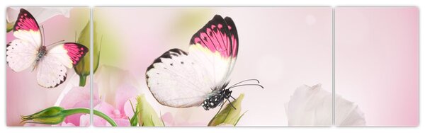 Obraz - Motýl (170x50 cm)
