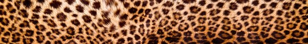 DIMEX | Fototapeta do kuchyně Leopardí kůže KI-420-069| 420 x 60 cm | béžová, černá, hnědá