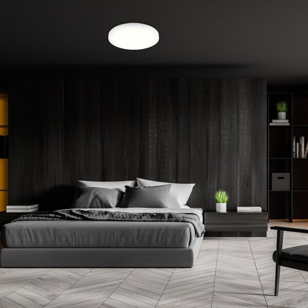 Brilo - LED RGBW Stmívatelné stropní svítidlo LED/20W/230V 2200-6500K pr. 27 cm