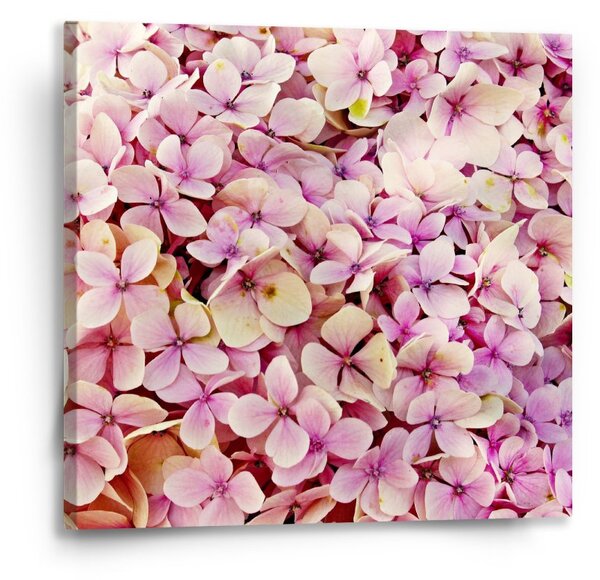 Sablio Obraz Růžové květy - 50x50 cm