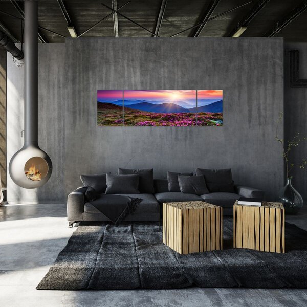 Obraz - Horská rozkvetlá krajina (170x50 cm)