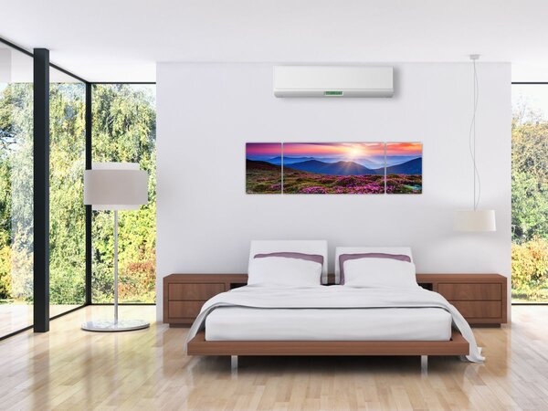 Obraz - Horská rozkvetlá krajina (170x50 cm)