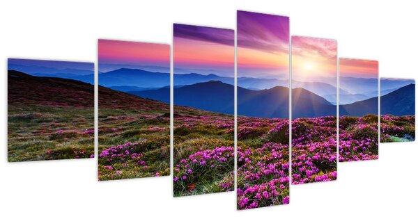 Obraz - Horská rozkvetlá krajina (210x100 cm)