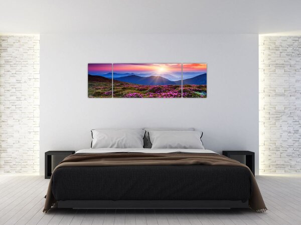 Obraz - Horská rozkvetlá krajina (170x50 cm)