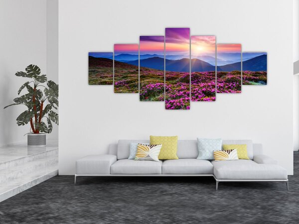 Obraz - Horská rozkvetlá krajina (210x100 cm)