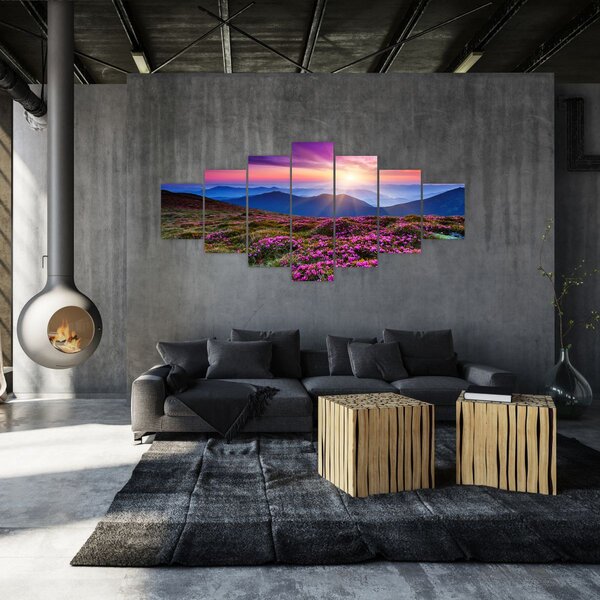 Obraz - Horská rozkvetlá krajina (210x100 cm)