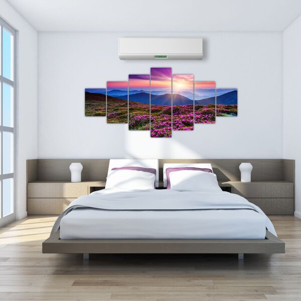 Obraz - Horská rozkvetlá krajina (210x100 cm)