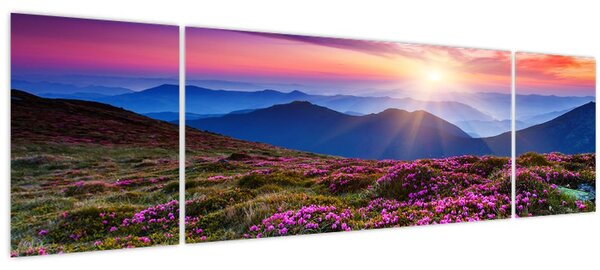Obraz - Horská rozkvetlá krajina (170x50 cm)