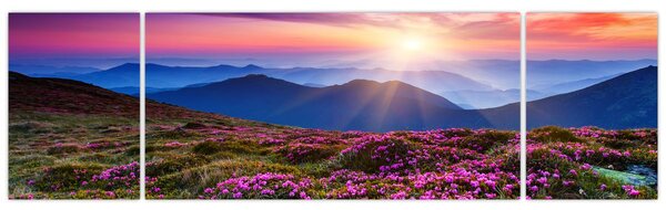Obraz - Horská rozkvetlá krajina (170x50 cm)