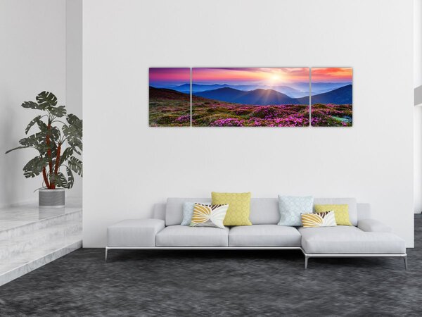 Obraz - Horská rozkvetlá krajina (170x50 cm)