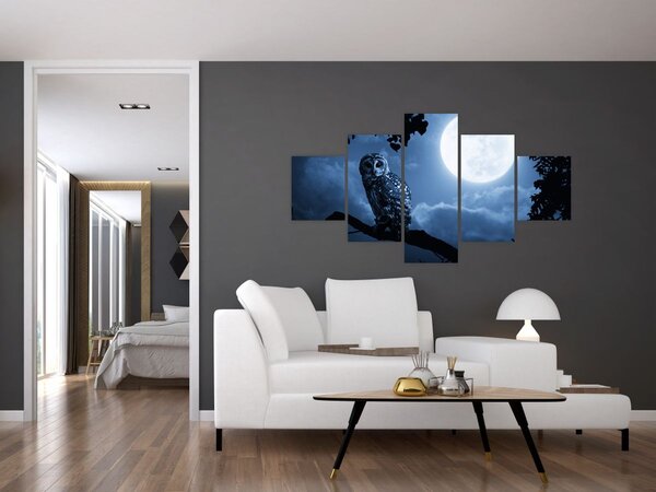 Obraz - Noční sova (125x70 cm)