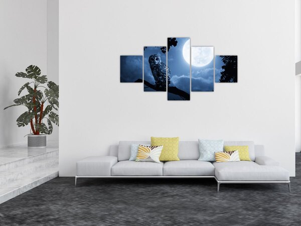 Obraz - Noční sova (125x70 cm)