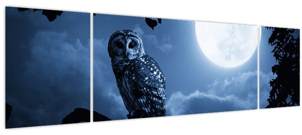 Obraz - Noční sova (170x50 cm)