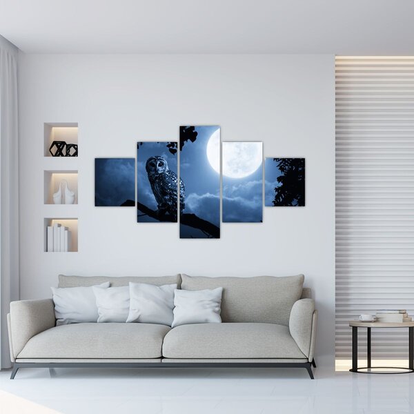 Obraz - Noční sova (125x70 cm)