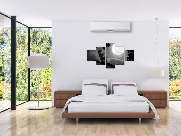 Obraz - Noční sova, černobílá (125x70 cm)