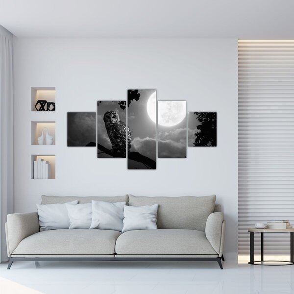 Obraz - Noční sova, černobílá (125x70 cm)