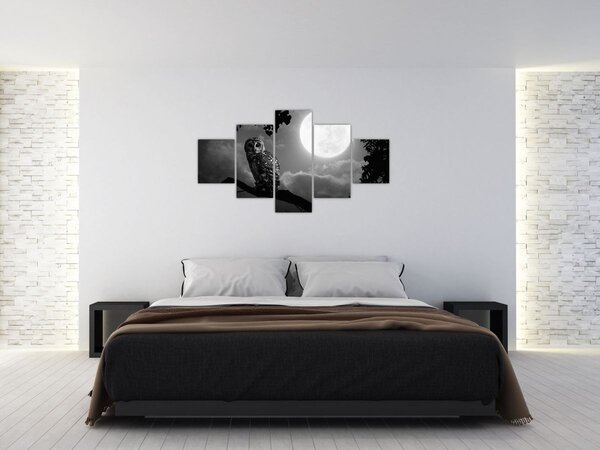 Obraz - Noční sova, černobílá (125x70 cm)