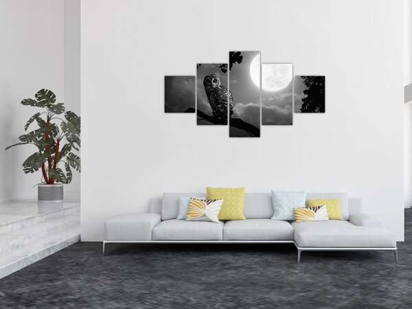 Obraz - Noční sova, černobílá (125x70 cm)
