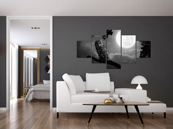 Obraz - Noční sova, černobílá (125x70 cm)