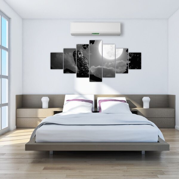 Obraz - Noční sova, černobílá (210x100 cm)