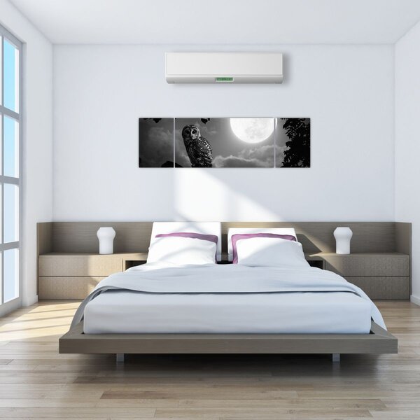 Obraz - Noční sova, černobílá (170x50 cm)