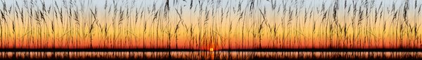 DIMEX | Fototapeta do kuchyně Západ slunce KI-420-129| 420 x 60 cm | červená, žlutá, oranžová