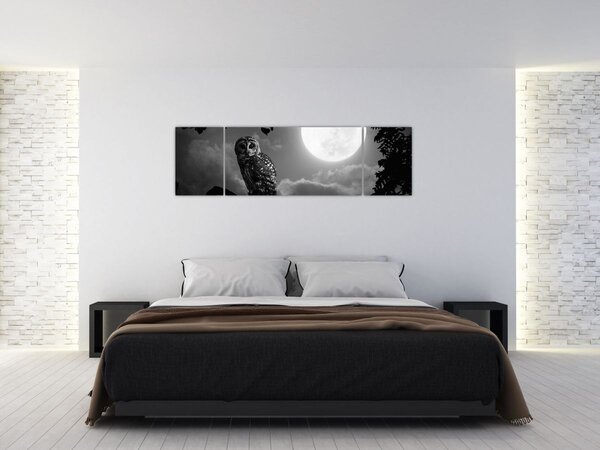 Obraz - Noční sova, černobílá (170x50 cm)