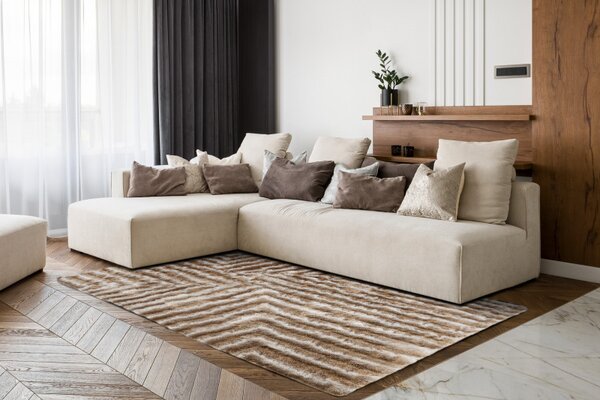 Dywany Łuszczów, Kusový koberec Flim 010-B1 beige, 120x160, béžová, ložnice