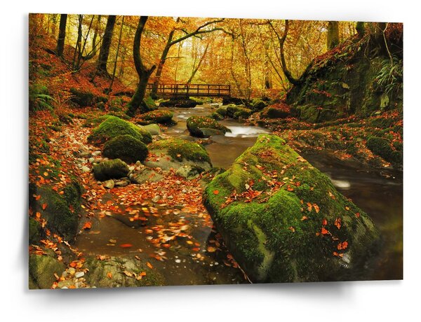 Sablio Obraz Most v lese - 150x110 cm