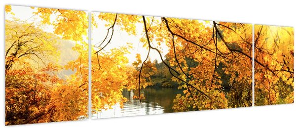 Obraz - Podzimní strom (170x50 cm)