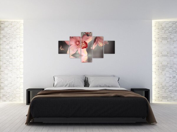 Obraz - Květy a motýl (125x70 cm)