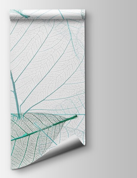 Fototapeta Skupina listů s žilkami, Akvarelové fototapety, Populární fototapety, u24439v3 - Tapeko.co.cz