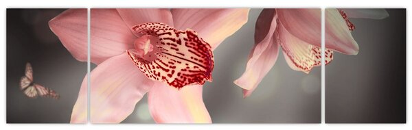 Obraz - Květy a motýl (170x50 cm)